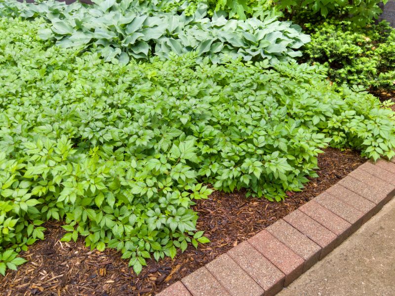 Brick Border Installation in Worcester, MA