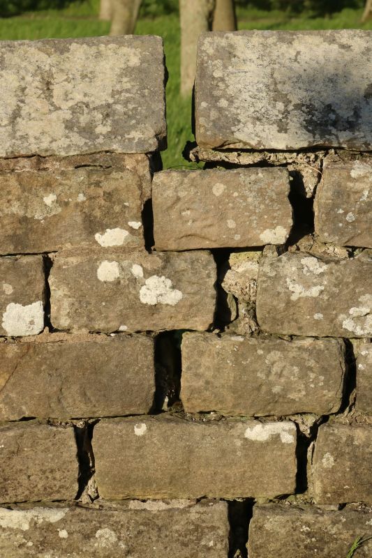 Signs Your Masonry Wall Needs Professional Repair