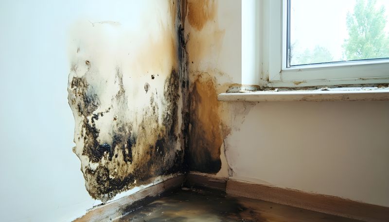 Water Damage Restoration